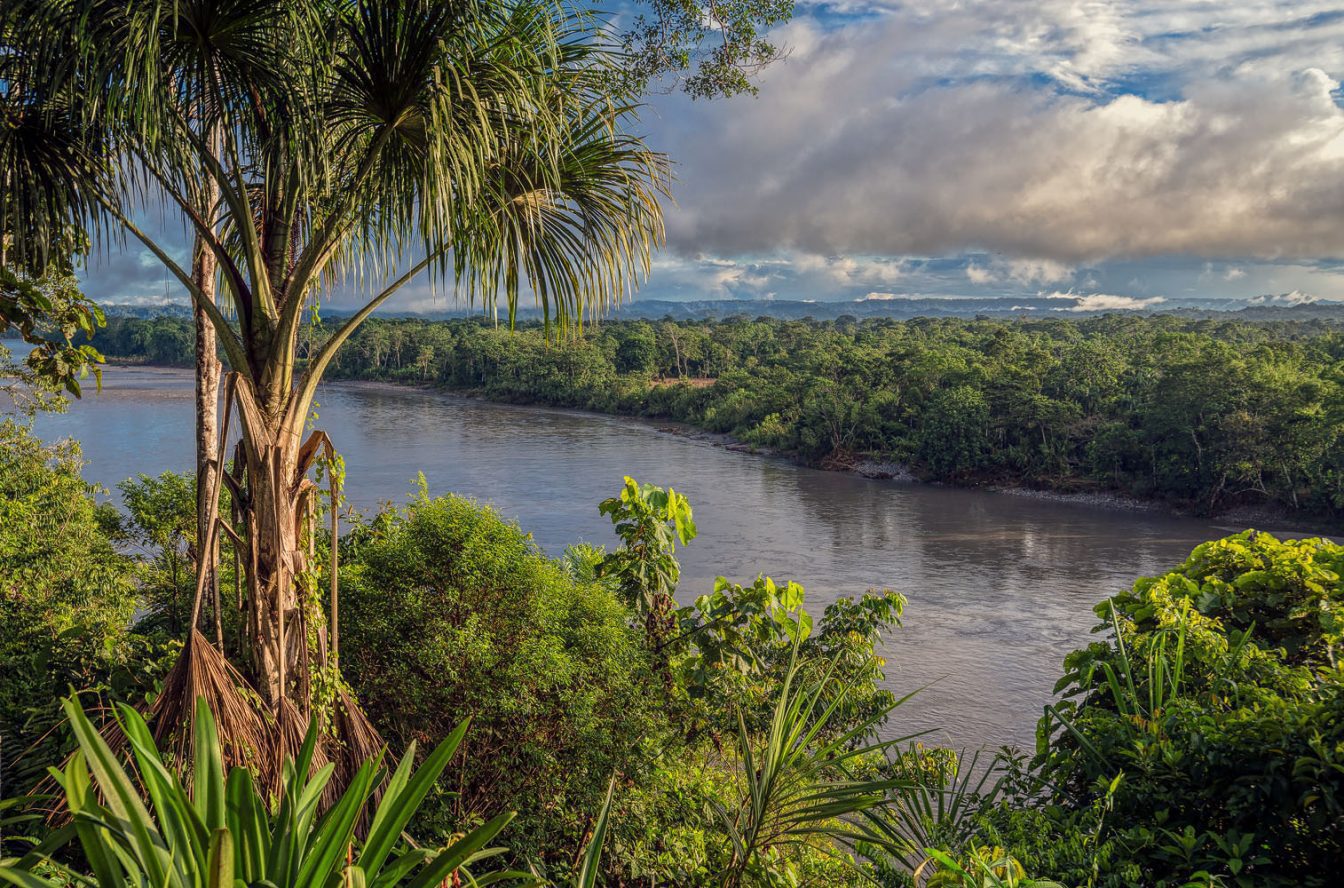 Picture of the Amazon Napo river near Ahuano village