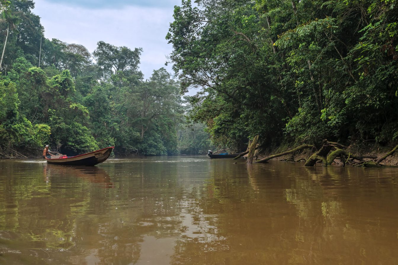 Amazonian rainforest photography with calm river and canoe