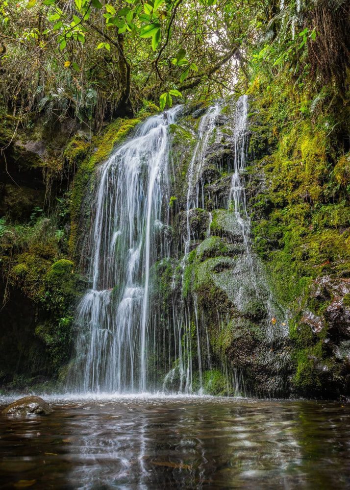 Photography of the Sachacuy (Guina pig) waterfall in the Cayambe province of Ecuador