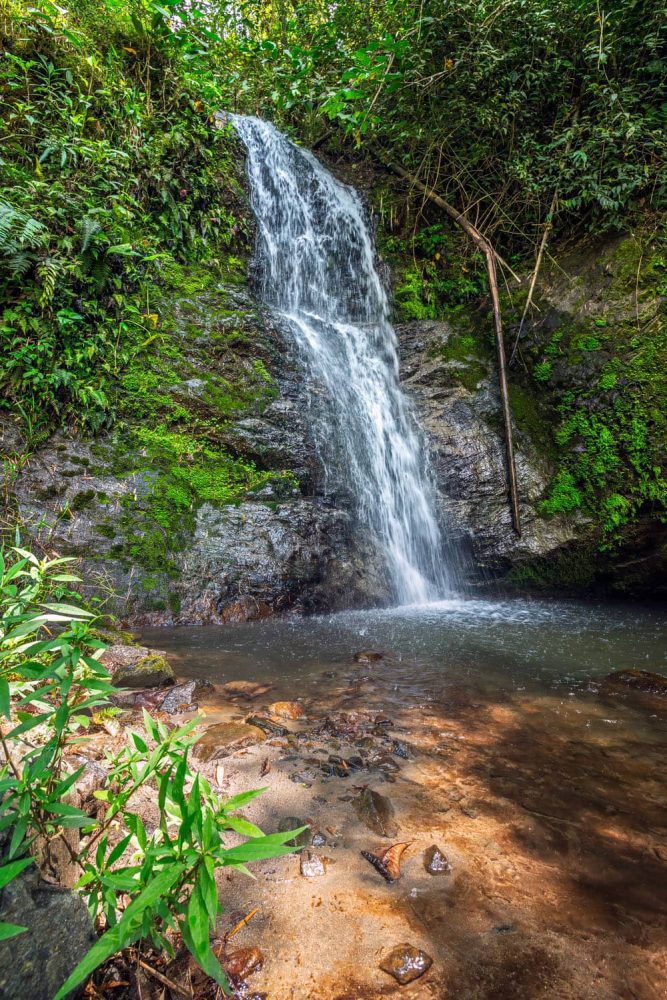 Photography of a little waterfall hidden in the cloud forest and illuminated by dappled sun light
