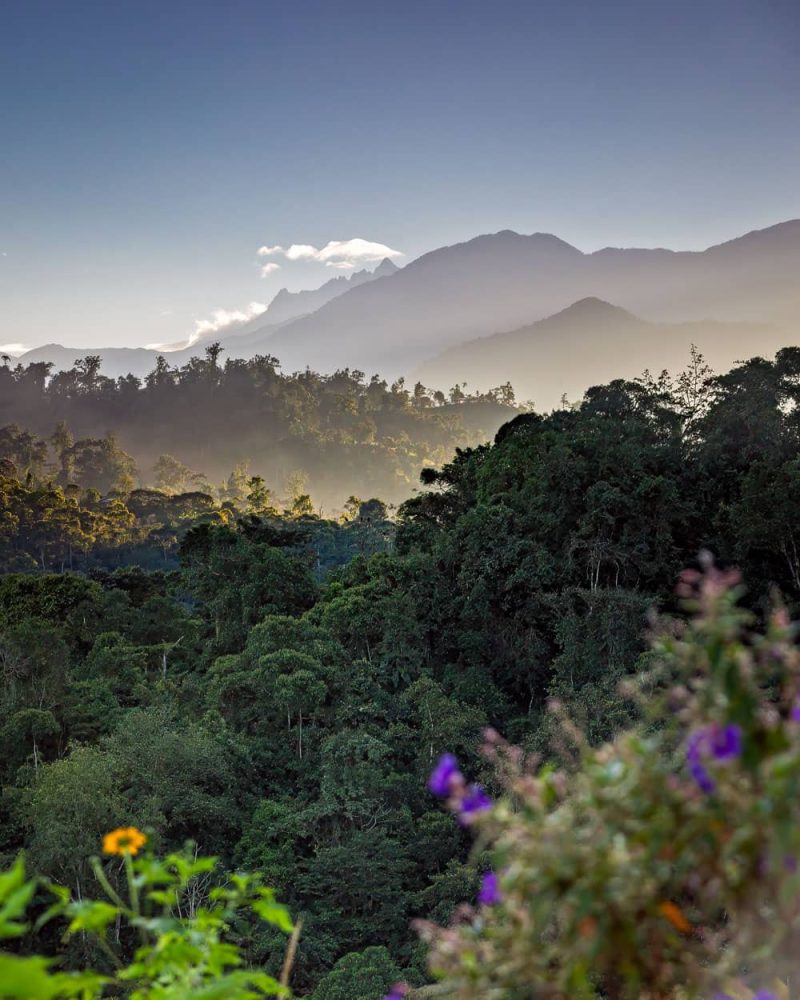 Viewpoint in Nanegal on the various cloud forest layers at daybreak